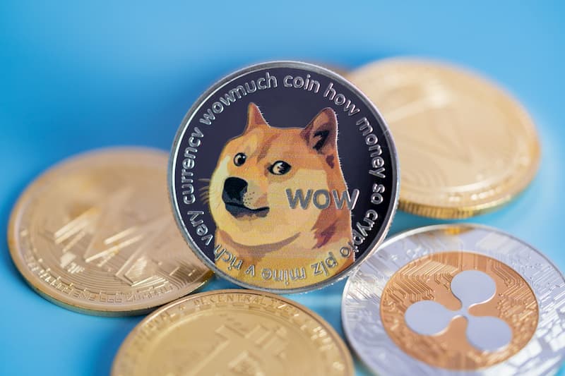 Interest in dogecoin on Google spikes by 3,000% in 2021 led by the US ...